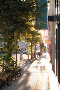 An urban street scene with bicycles, trees, and sunlight casting shadows on the pavement.