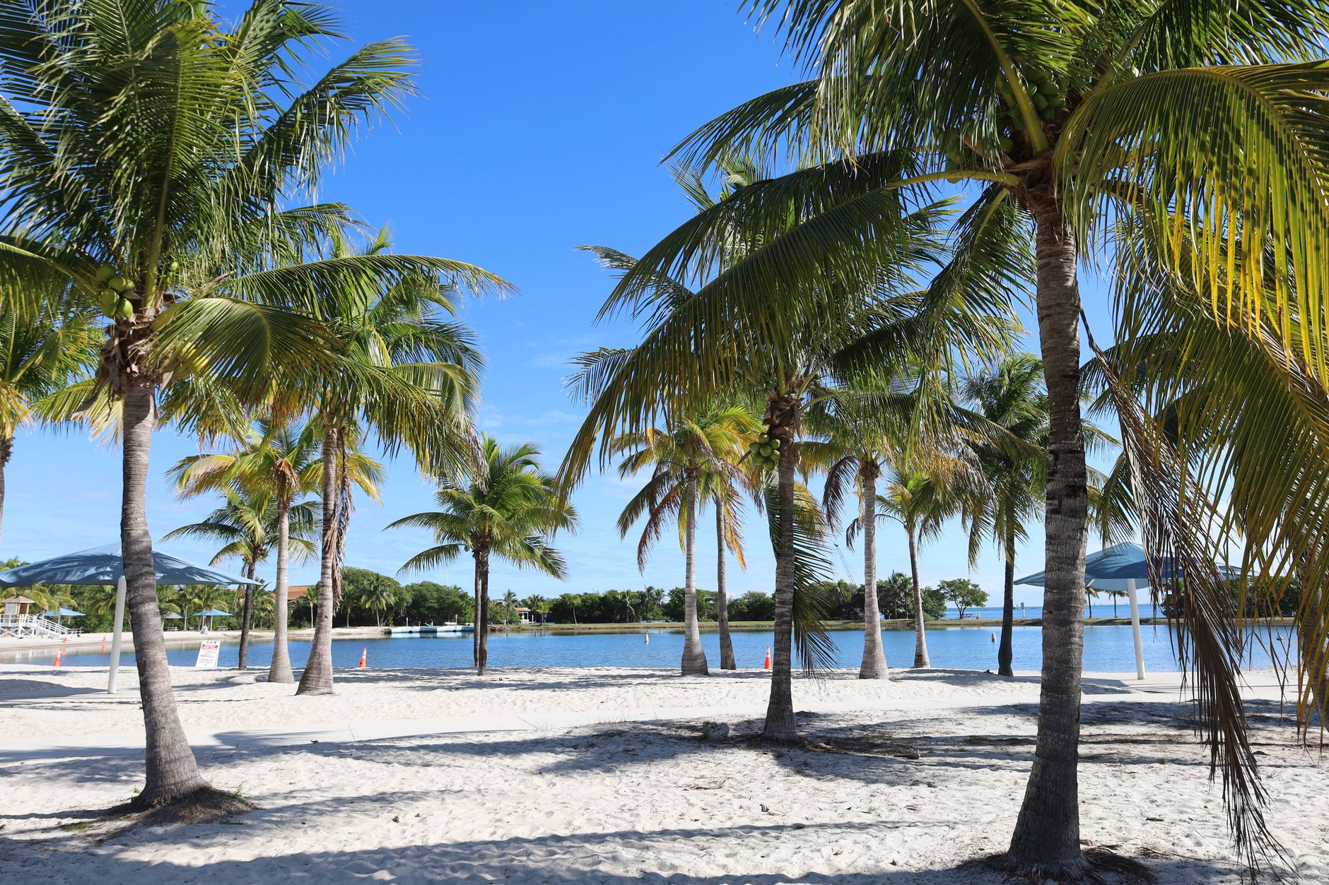 Buying Miami New Construction Through an LLC: Asset Protection, HOA Reserve Studies, and Coconut Grove Condo Buyer Guide