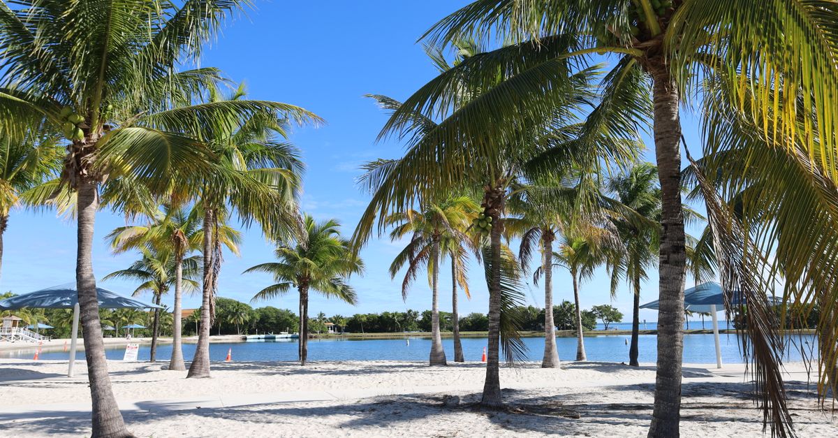 A serene beach with palm trees and blue skies in Homestead, Florida.