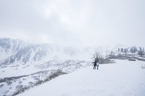 Winter Landscape with Hills and Fog