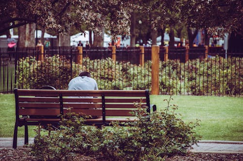 Photo Of Person Sitting On Brown Bench 