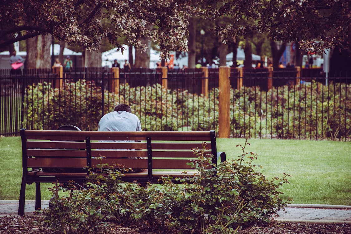 무료 갈색 벤치에 앉아있는 사람의 사진 스톡 사진