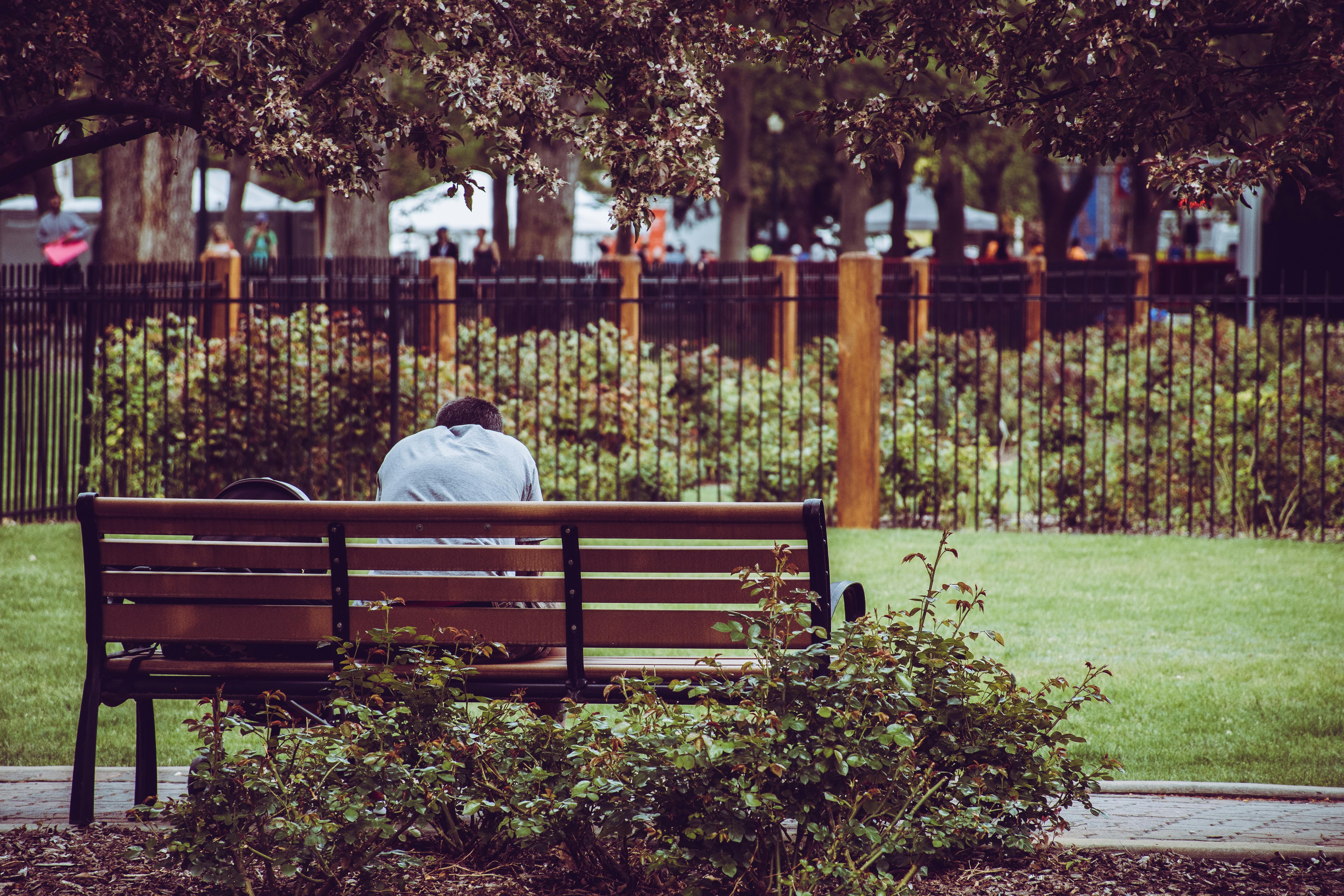 Photo Of Person Sitting On Brown Bench Free Stock Photo