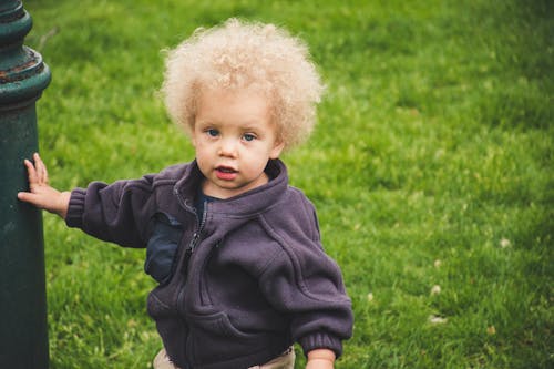 Free Photo Of Toddler Wearing Jacket Stock Photo