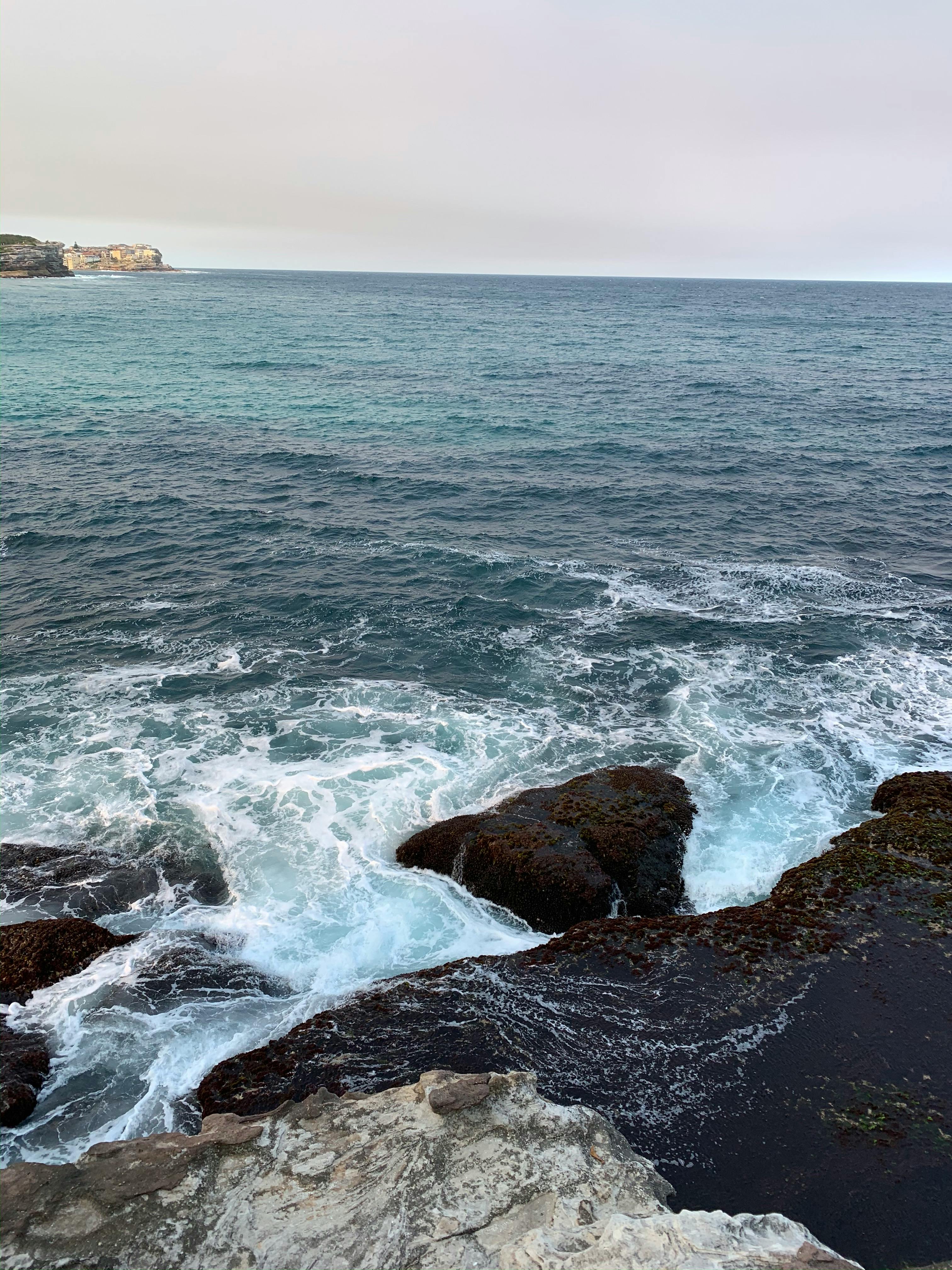 Rocky Mountain Cliff Near The Tree Free Stock Photo