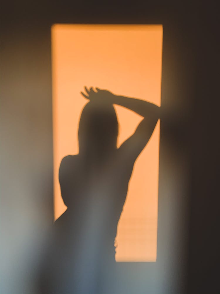 Silhouette Of Woman