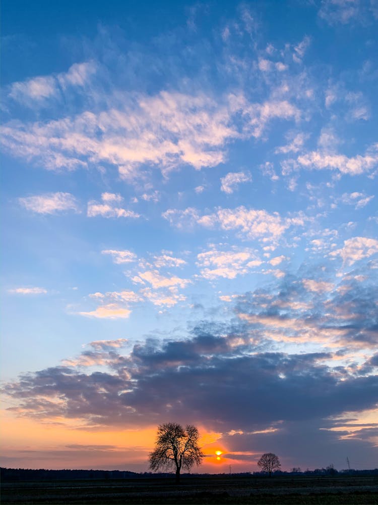 Single Tree Under Clouds At Sunset