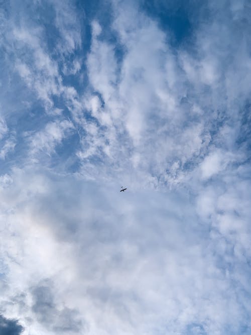 An Airplane Across the White Clouds 