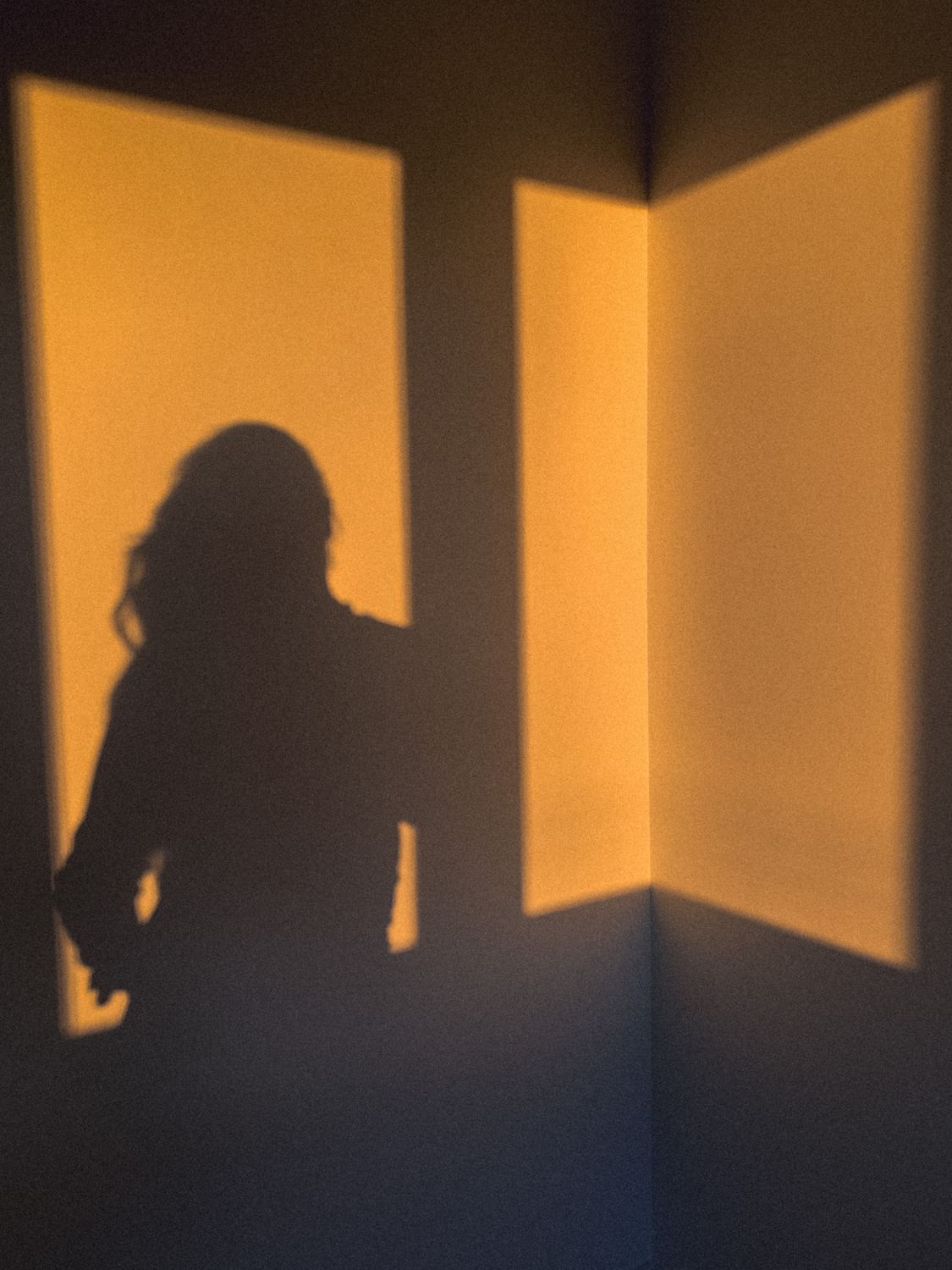 Shadow of a Woman Leaning against a Window Frame · Free Stock Photo