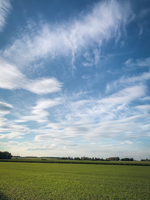 Gratis stockfoto met blauwe lucht, boerderij, gras