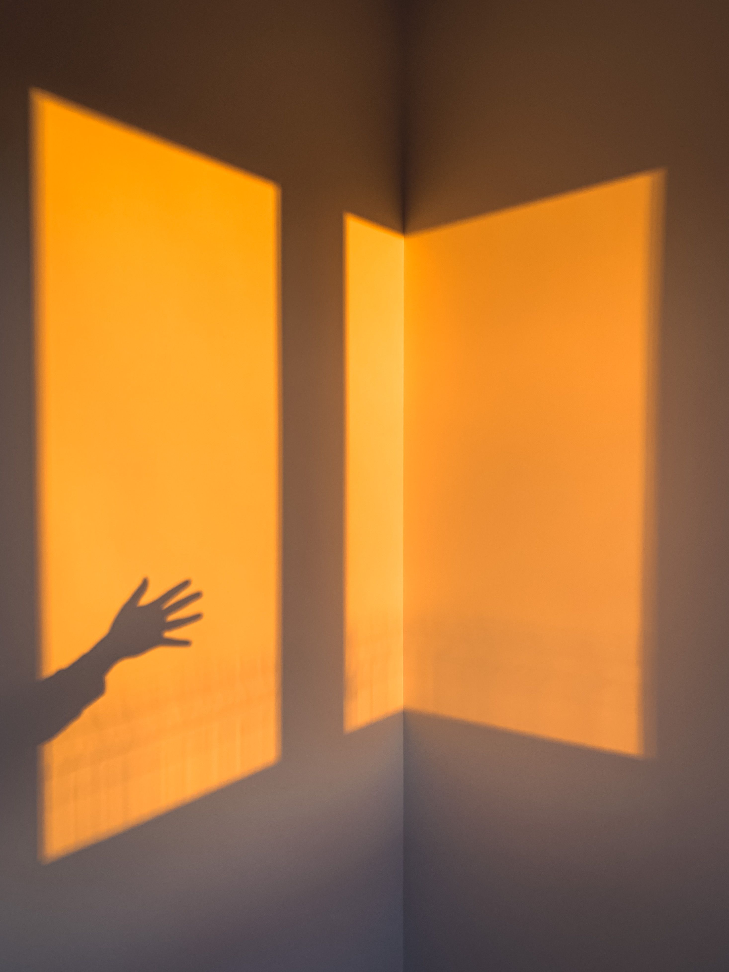 Playful shadow of a hand on a wall illuminated by warm sunlight, creating an abstract artistic effect.