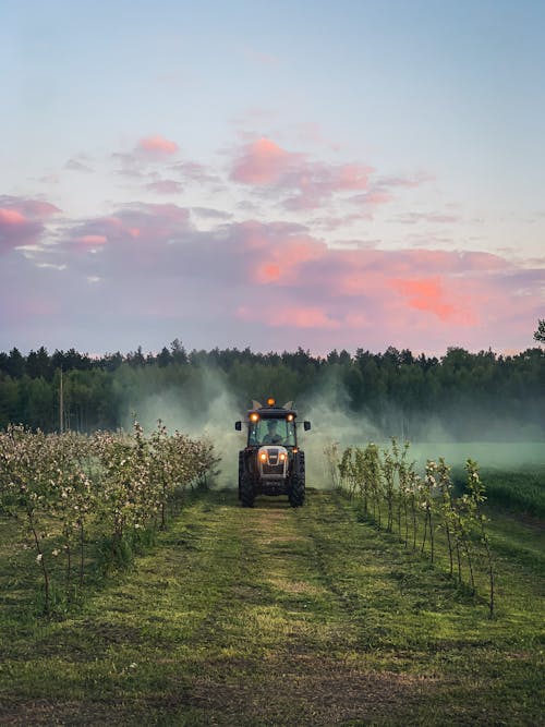 Tractor on Field at Dawn