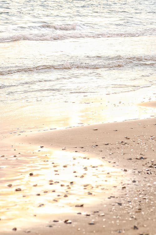 Бесплатное стоковое фото с берег, вертикальный выстрел, грохот волн