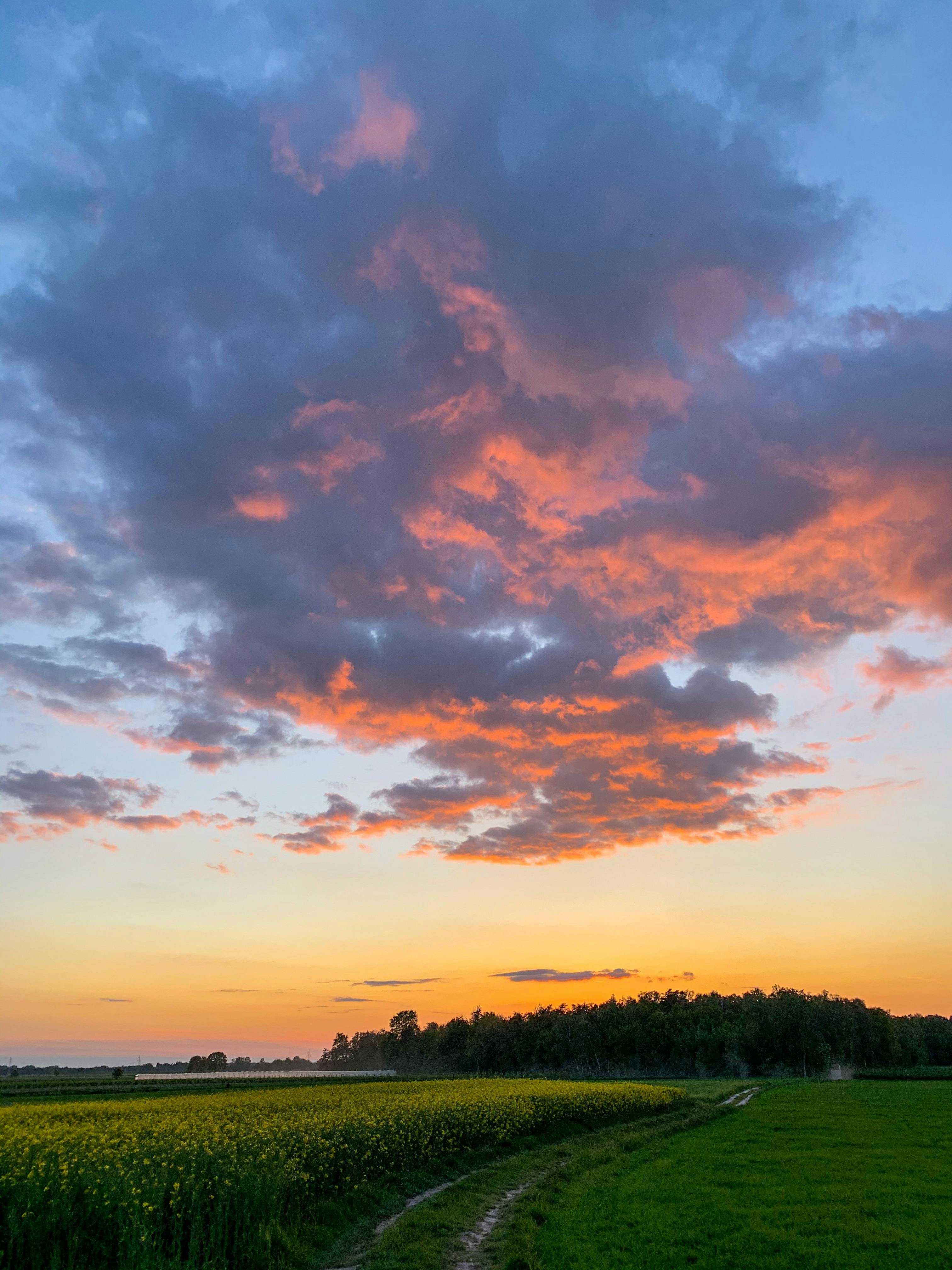 Road In Between Grass Field Under Grey Sky · Free Stock Photo