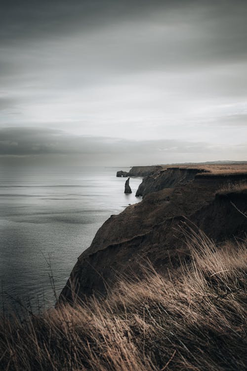 垂直ショット, 岸, 崖の無料の写真素材