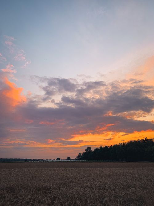 Free Stunning sunset sky with fiery clouds over a peaceful field, creating a serene and scenic view. Stock Photo