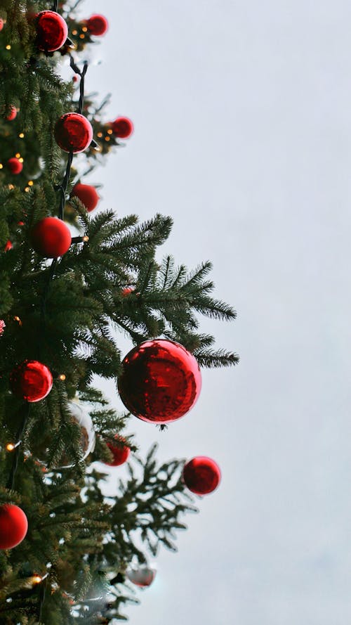 Foto d'estoc gratuïta de adorns, Adorns de Nadal, arbre de Nadal