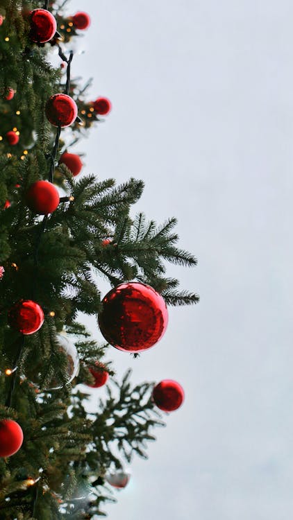 Foto profissional grátis de árvore de Natal, bolas de Natal, brilhando