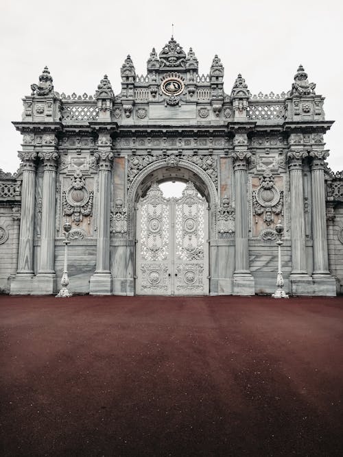 Foto profissional grátis de ancião, aparência, arcada