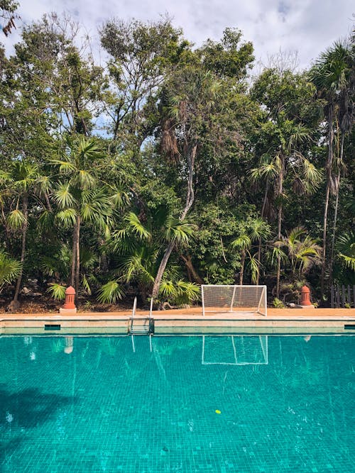 Swimming Pool among Palm Trees