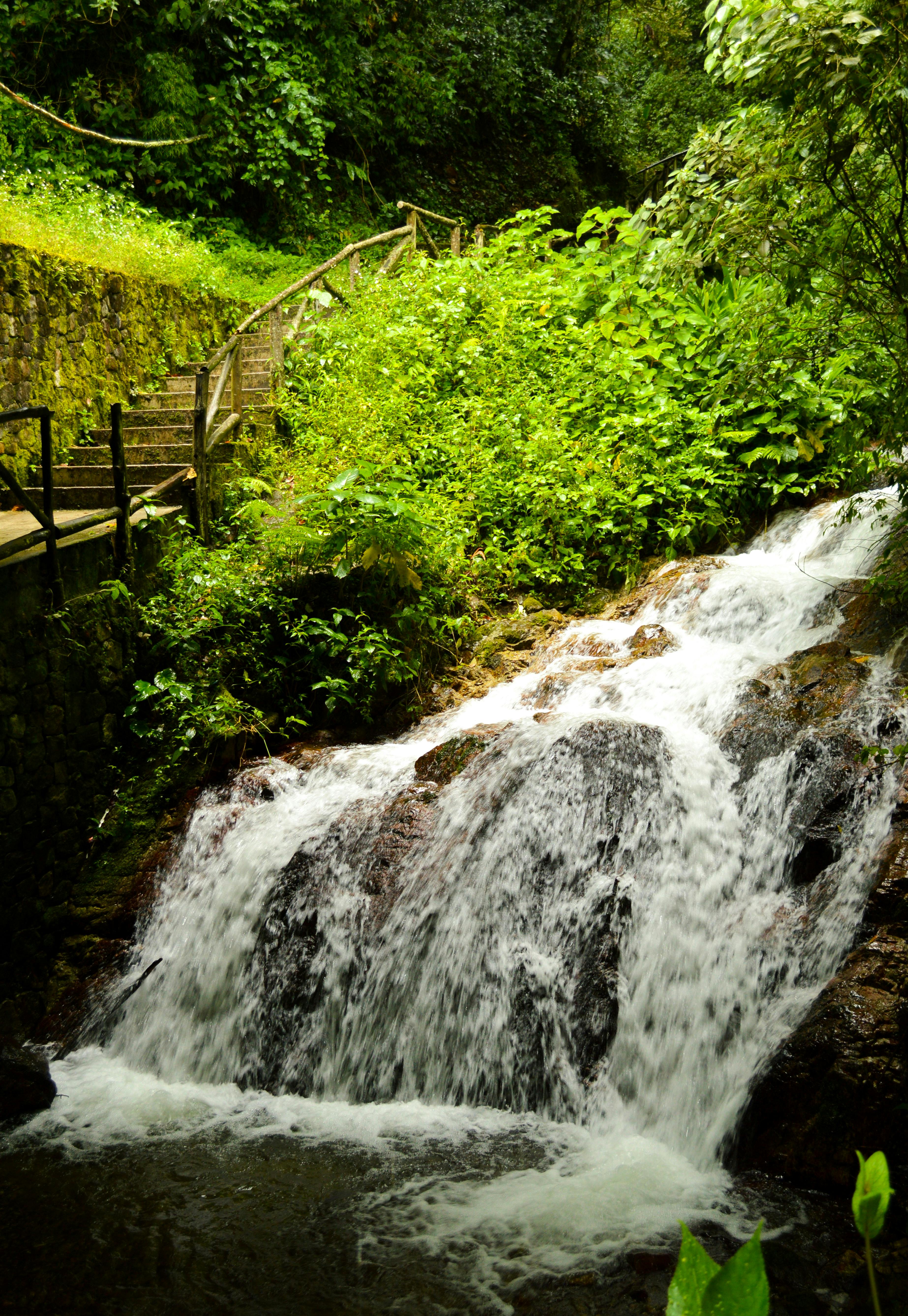 Free stock photo of cascade, environment, flow