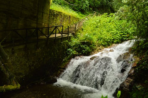 Gratis lagerfoto af kaskade, landskab, natur