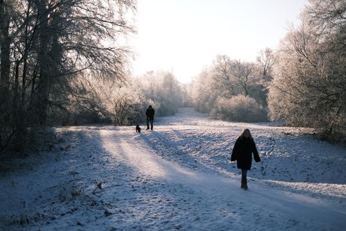 Free Two people and a dog walking in a snow-covered park in Hillerød, Denmark during winter. Stock Photo