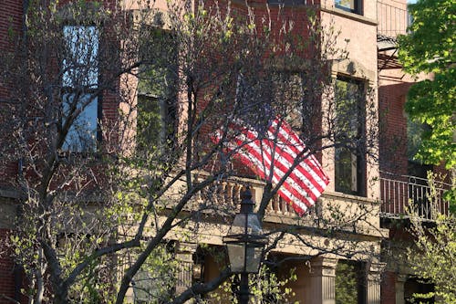 Foto stok gratis Amerika Serikat, bendera usa