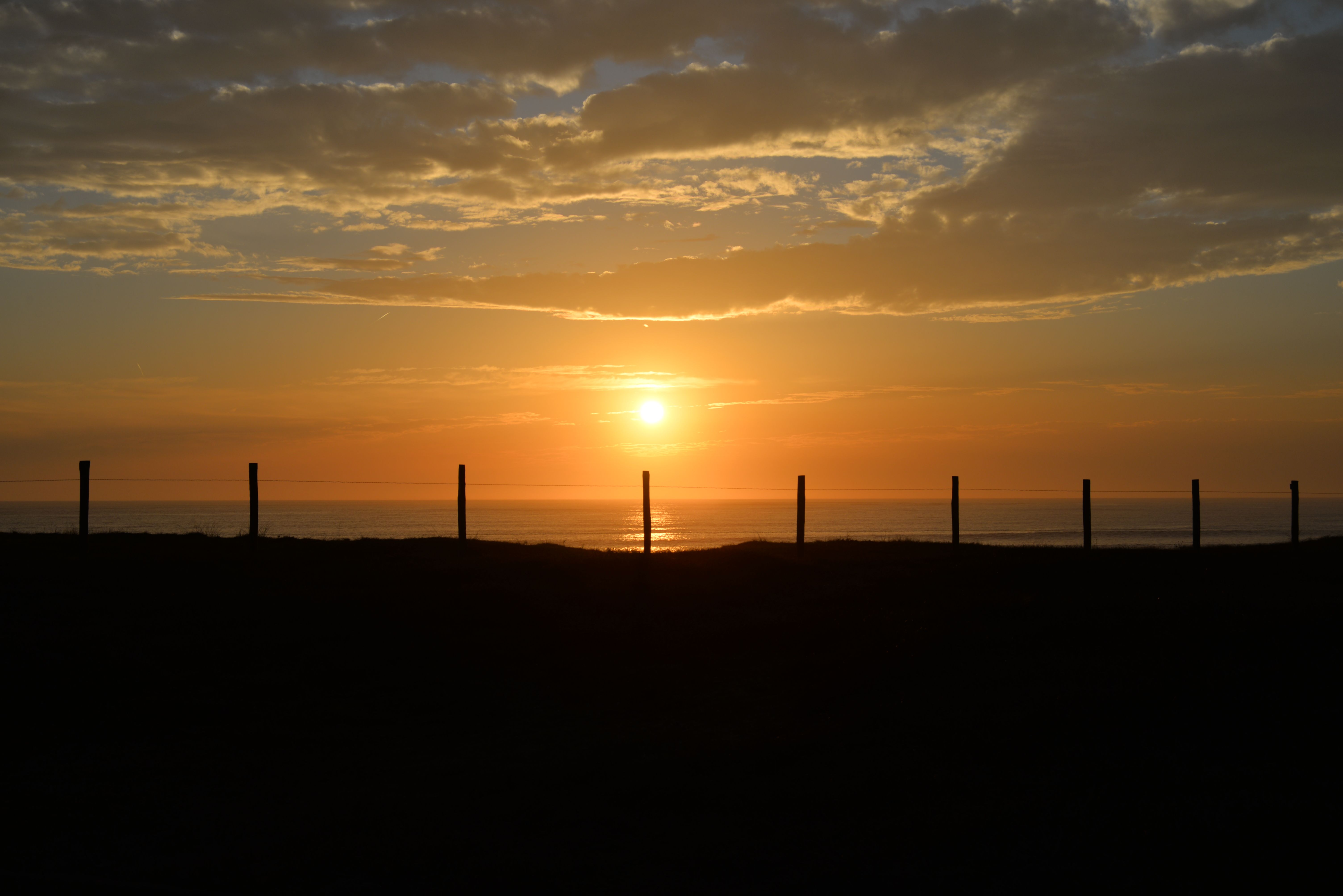 A Silhouette of Fences during a Sunset · Free Stock Photo