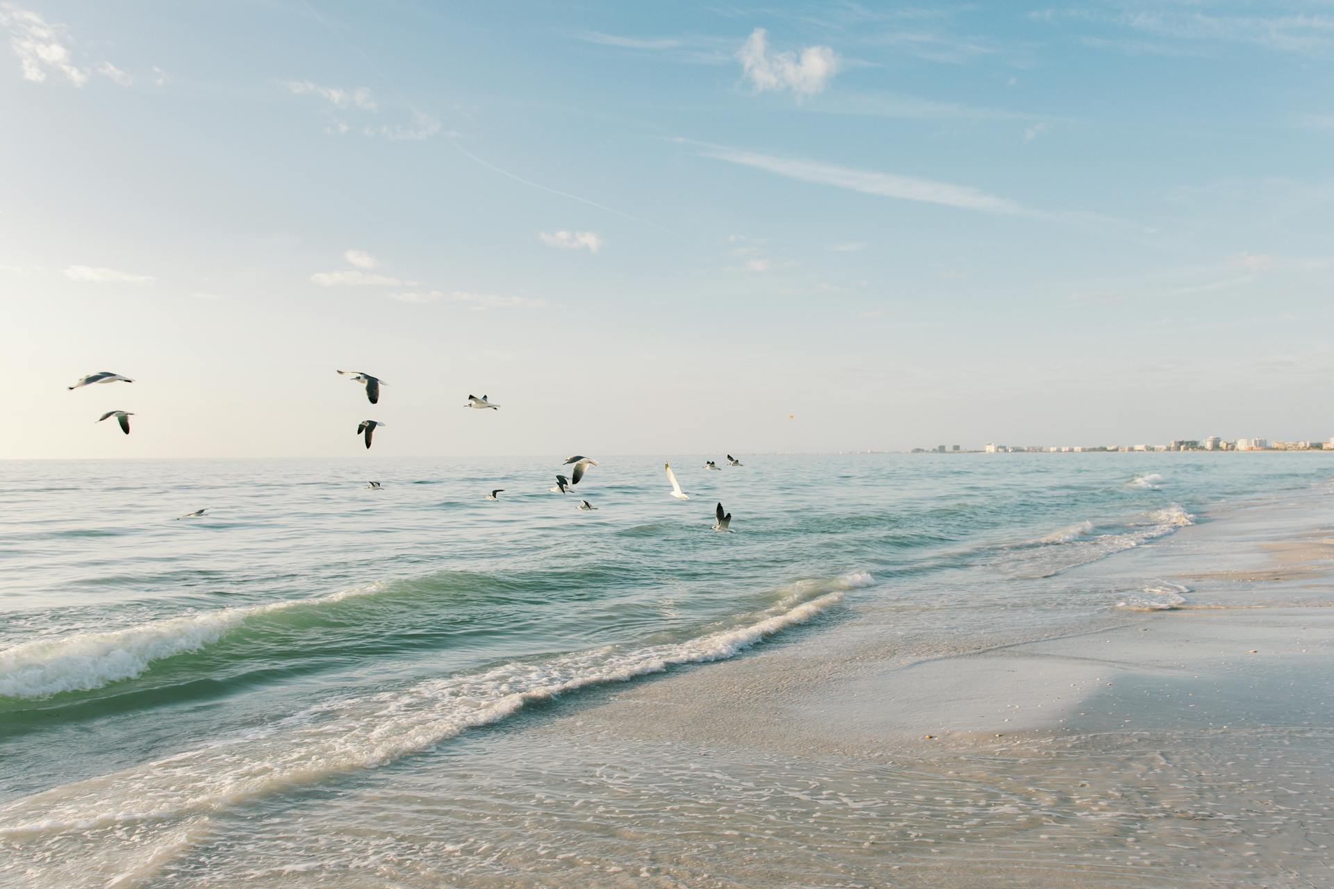 Seagulls fly over the gentle waves at St. Pete Beach, creating a tranquil seascape.