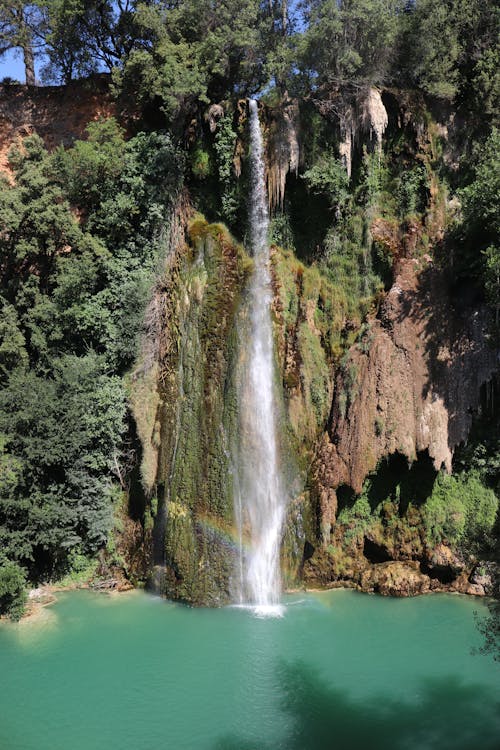 Gratis Immagine gratuita di acqua turchese, alberi verdi, cascata Foto a disposizione