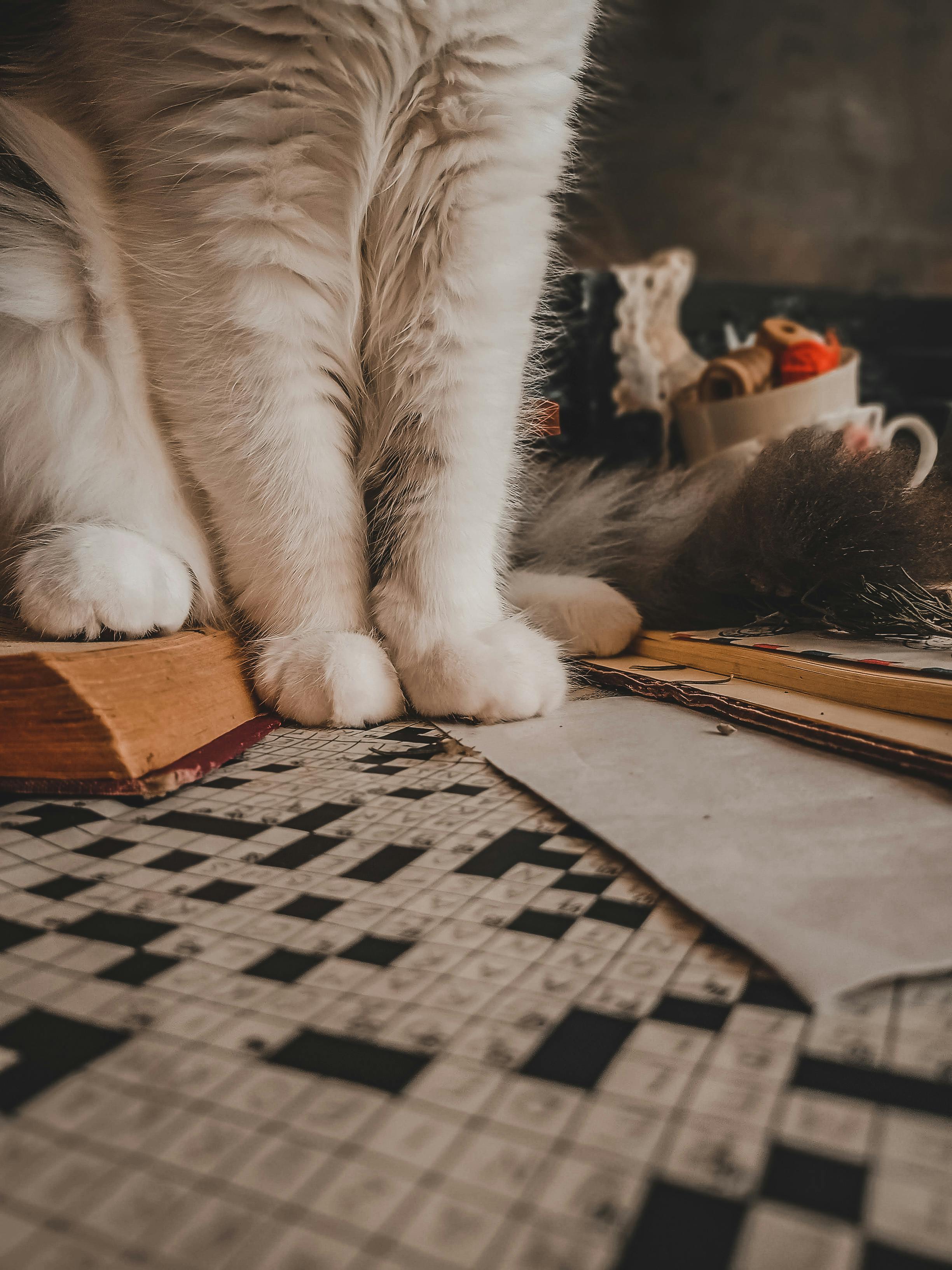 Crossword Photos Download The BEST Free Crossword Stock Photos HD Images Crossword Photos Download The BEST Free Crossword Stock Photos HD Images