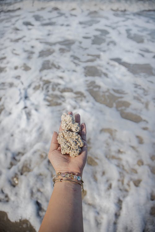 Foto profissional grátis de beira-mar, braceletes, espuma do mar