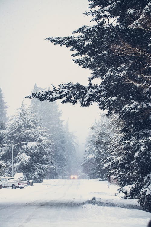 Snow-Covered Road during Winter