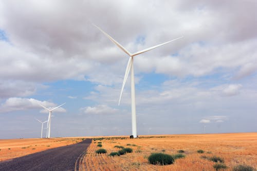 Wind Turbines on a Field