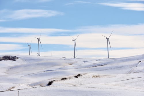 Surprising Role of Snow in Global Climate Systems