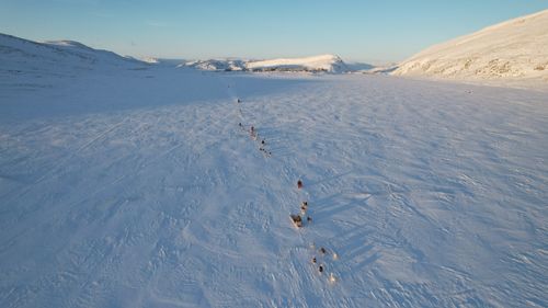 Free A breathtaking aerial shot of a dogsledding adventure across a vast snow-covered landscape. Stock Photo