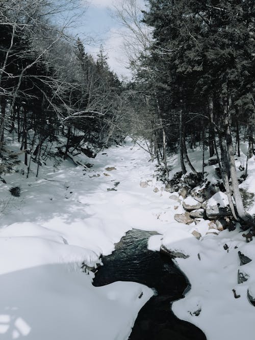 冬, 垂直ショット, 岩の無料の写真素材