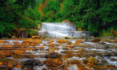 Green Trees Beside the Waterfall