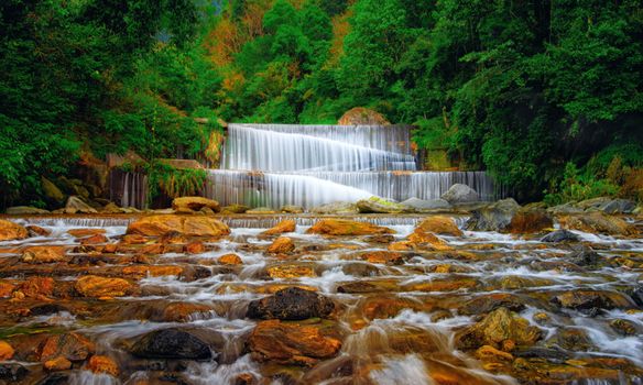 Majestic waterfall cascades through a lush green forest creating a tranquil nature scene.