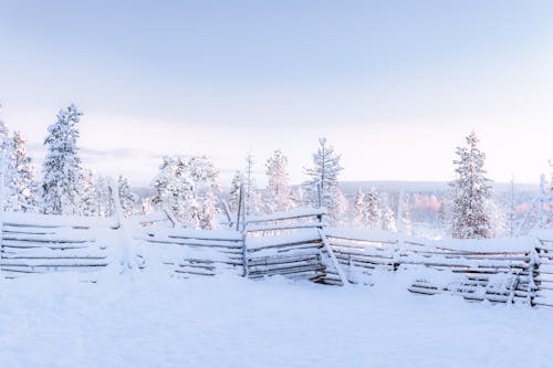 Snow-Covered Fence during Winter