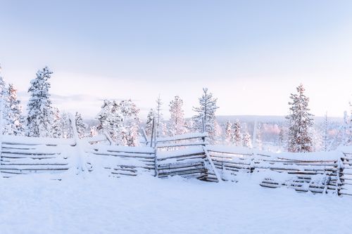 Free Breathtaking view of a snowy winter scene with frosty trees and rustic fence in Murmansk, Russia. Stock Photo