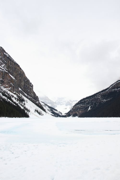 丘陵, 冬季, 冰 的 免費圖庫相片