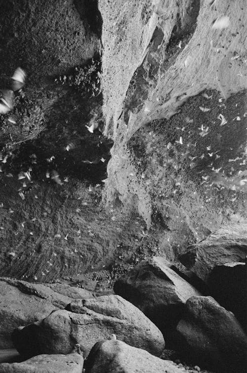 Grayscale Photo of a Rock Formations