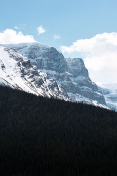 Breathtaking view of snow-covered mountains and dense forests in Canada, showcasing natural beauty.