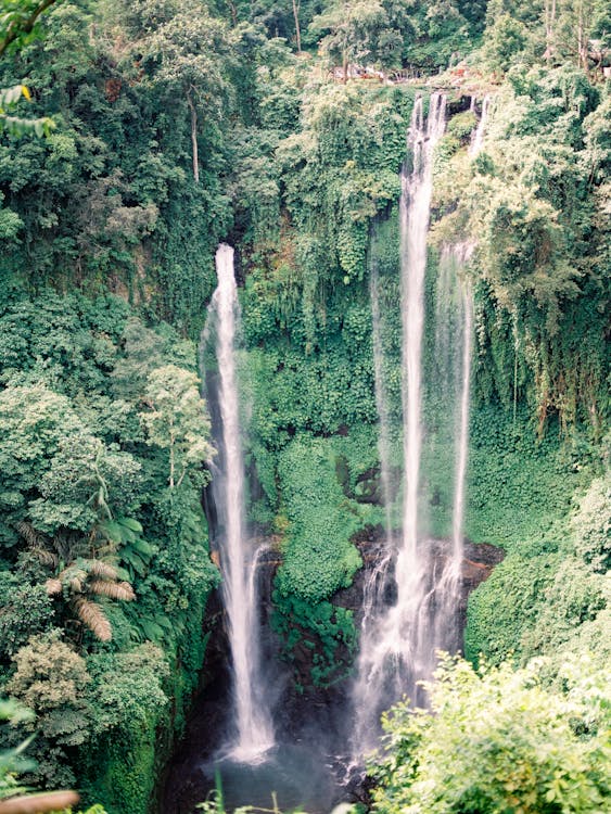 Foto d'estoc gratuïta de bosc amazònic, cascades, jungla