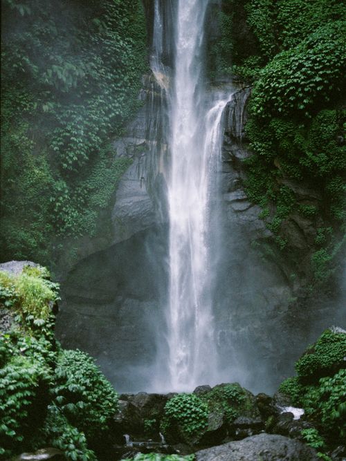 Free Lush greenery surrounds a tall waterfall in Bali, Indonesia, creating a serene natural scene. Stock Photo