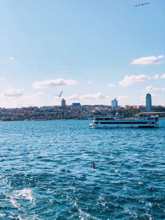 Kostenloses Stock Foto zu fähre, meer, stadt