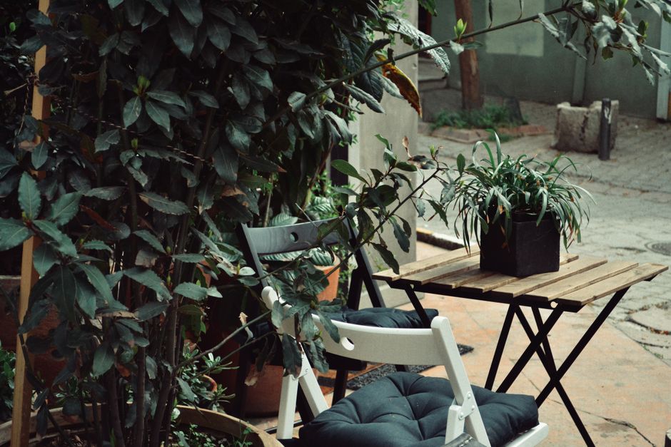 A tranquil outdoor garden setting featuring wooden furniture and lush green plants. A tranquil outdoor garden setting featuring wooden furniture and lush green plants.