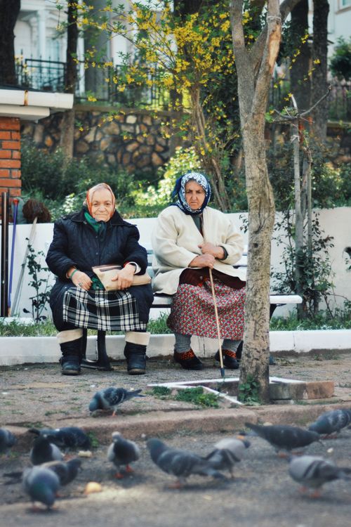 Free Two elderly women sitting on a park bench feeding pigeons in a tranquil setting. Stock Photo